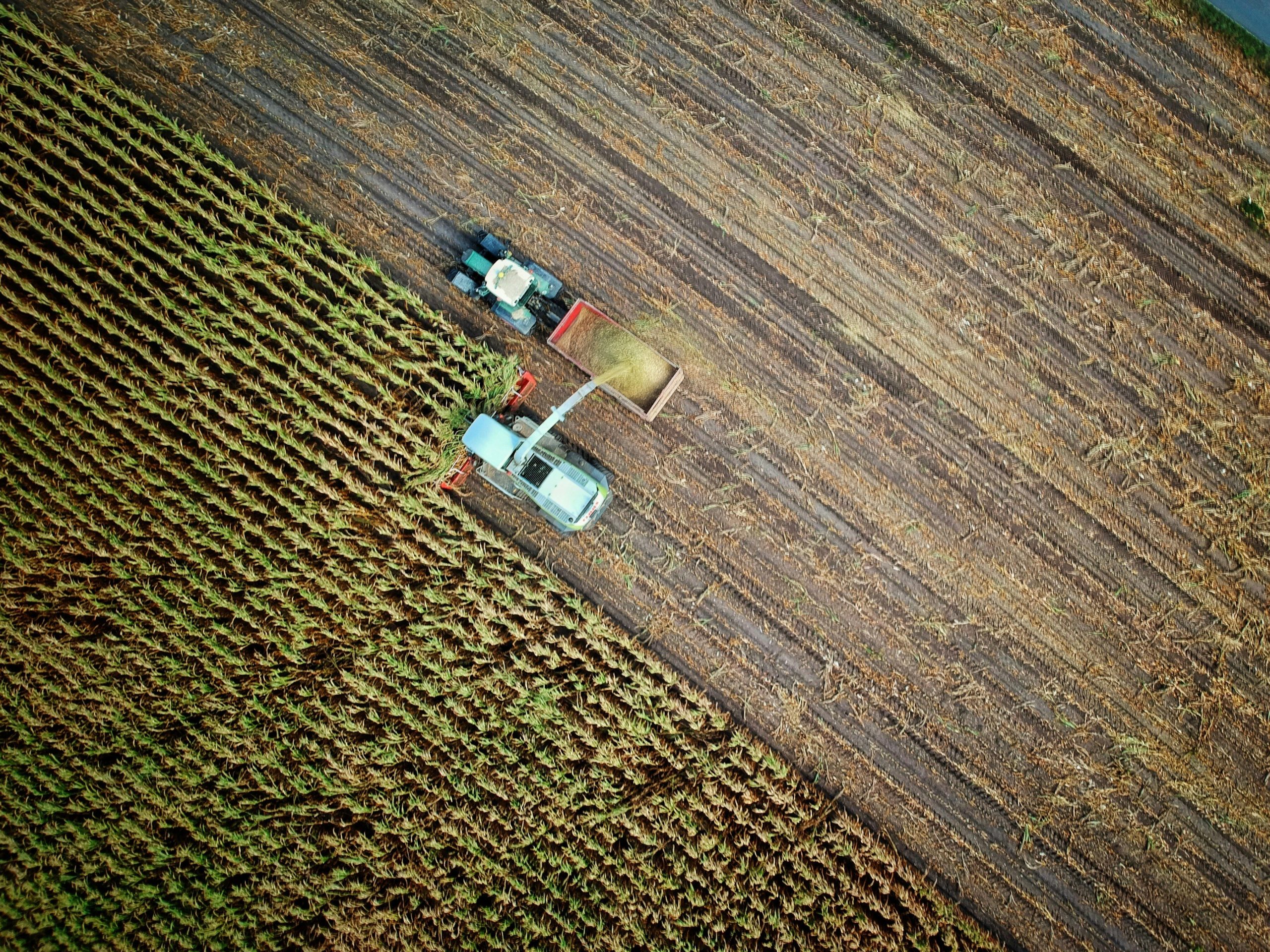 2nde-production-3
